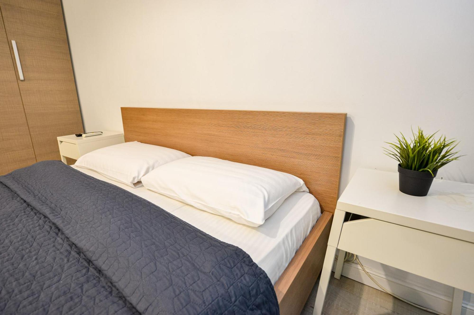 Dracula Adventure Tours Accommodation Bucureşti Ngoại thất bức ảnh